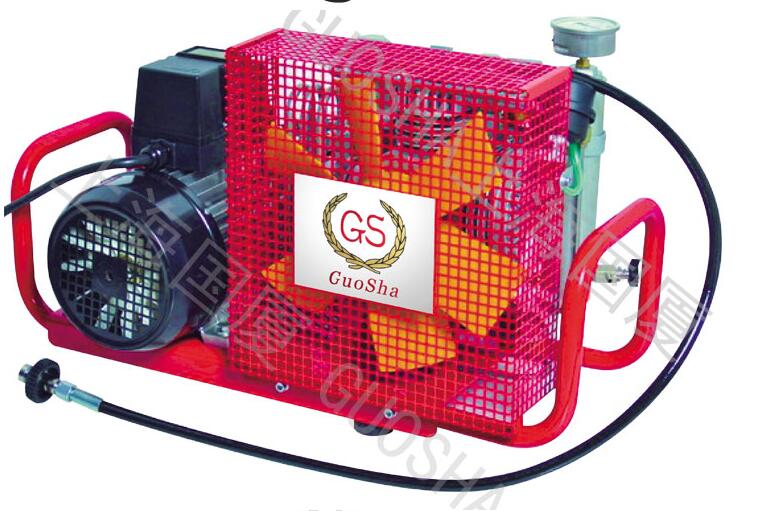 上海國廈壓縮機(jī)廠家的產(chǎn)品